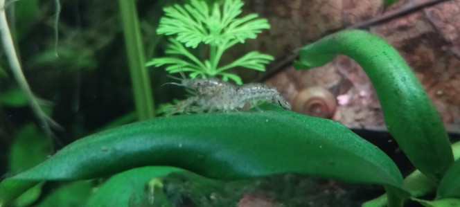 Photographie du post de Olivier1977 