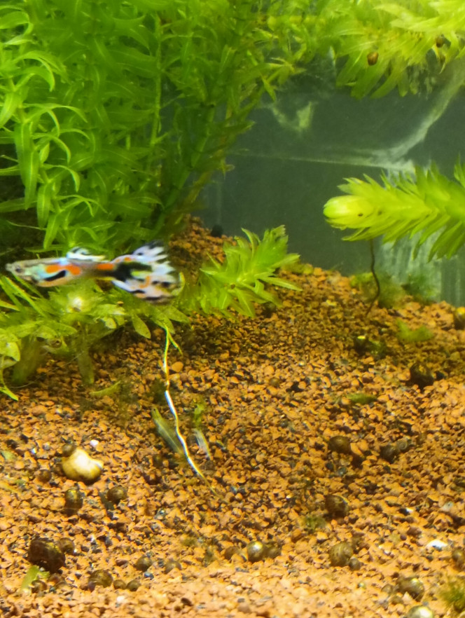 Photographie du post de hollywood