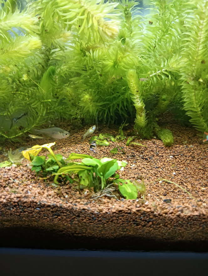 Photographie du post de hollywood