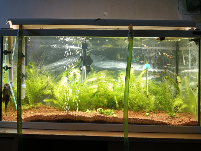 Photographie du post de hollywood