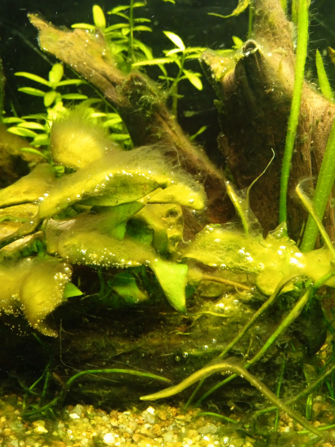 Photographie du post de Laurent17600 