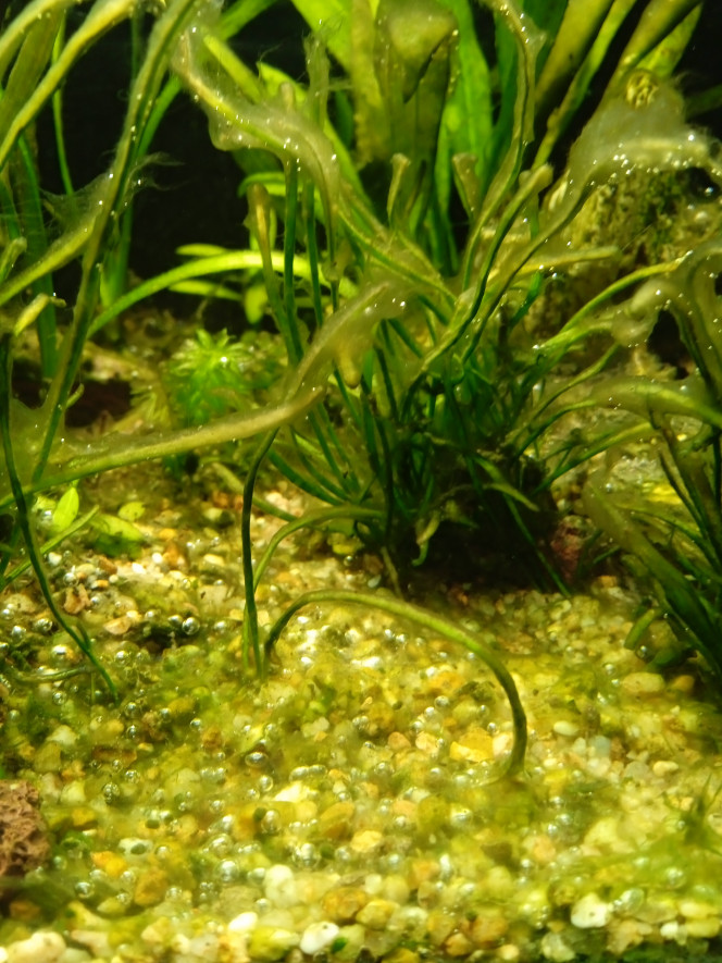 Photographie du post de Laurent17600 