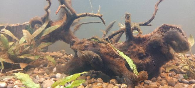 Photographie du post de mikey 