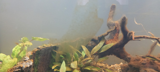 Photographie du post de mikey 