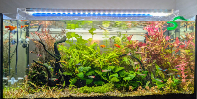  Remplacement et déplacement du diffuseur CO2 + petite coupe