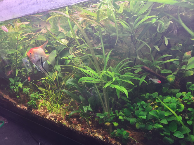 Photographie du post de laurent-galichet 