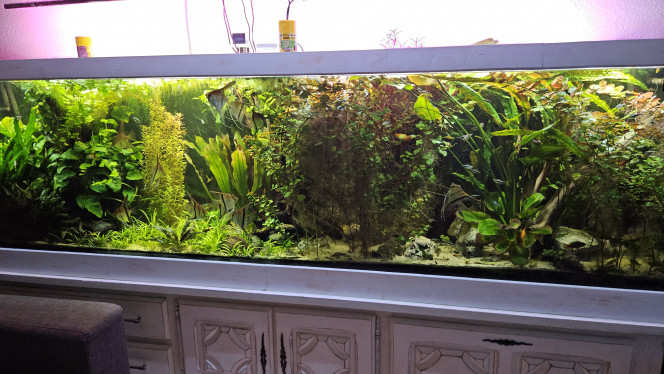 Photographie du post de Aleau 