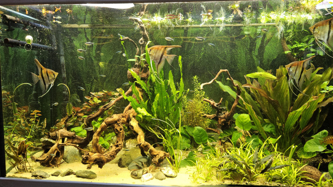 Photographie du post de Aleau 