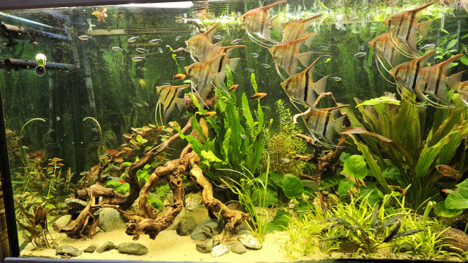 Photographie du post de Aleau 