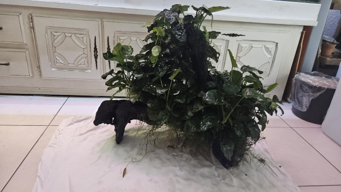 Photographie du post de Aleau 