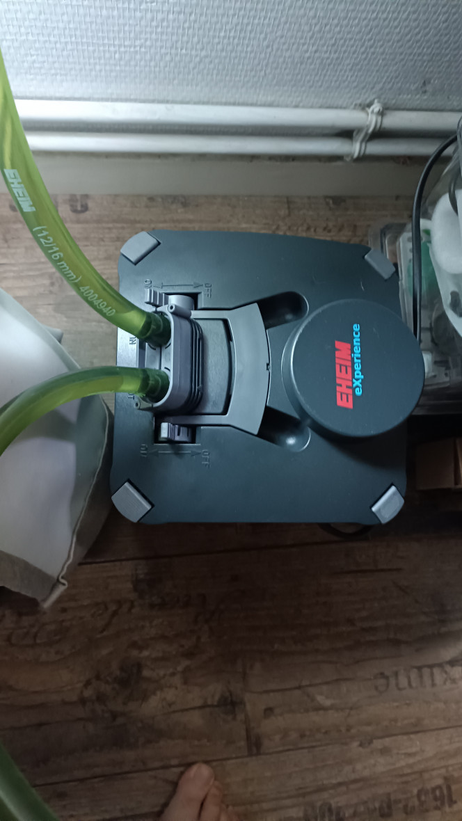 Photographie du post de Bbrouget