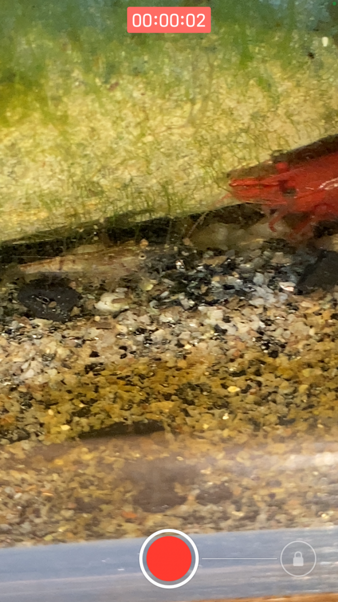 Photographie du post de Fishnships 