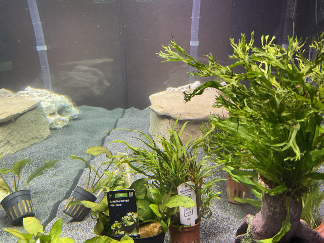 25 Oct 2025 Ajout de la grotte DIY et des pierres calcaires.