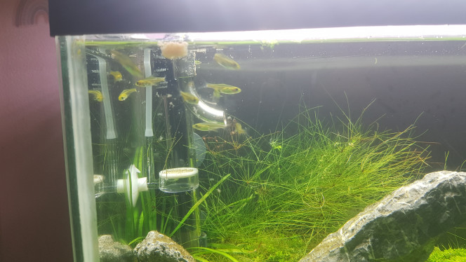 Photographie du post de LiquidPaper2008 