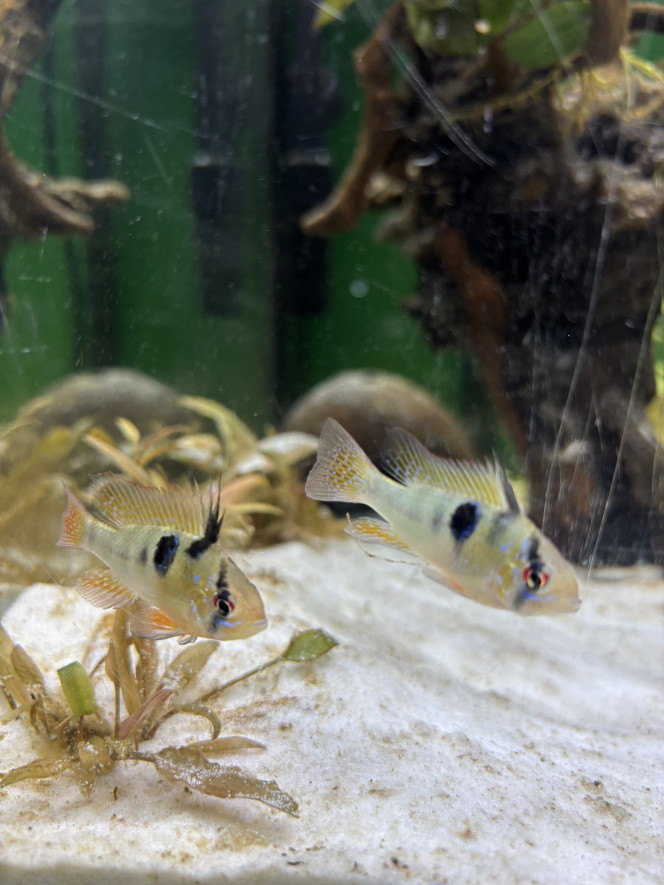 Photographie du post de Loic.lec