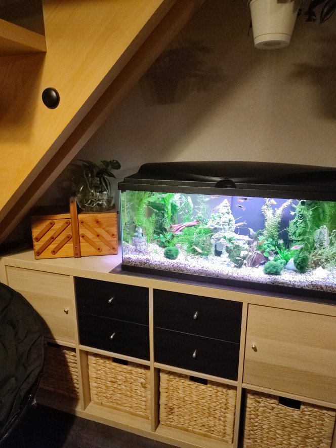 80 L 