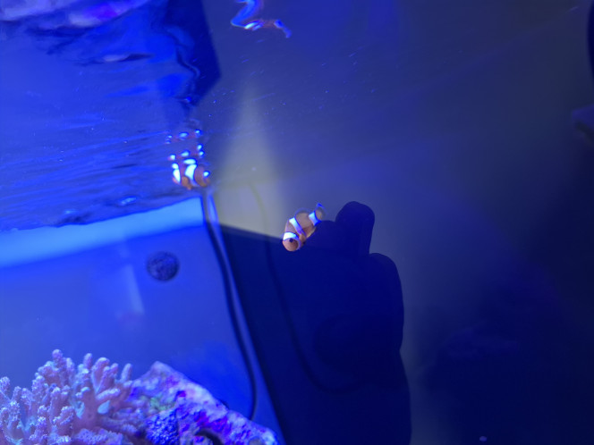 Photographie du post de Guiguidu57 