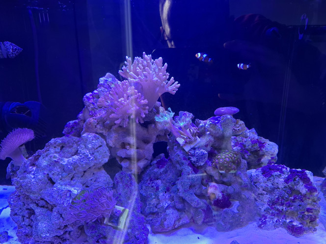 Photographie du post de Guiguidu57 