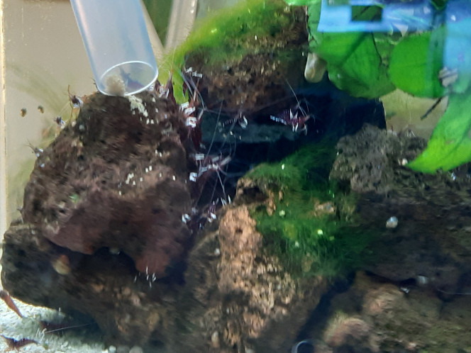 Photographie du post de PORTELLI 