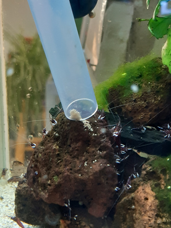 Photographie du post de PORTELLI 