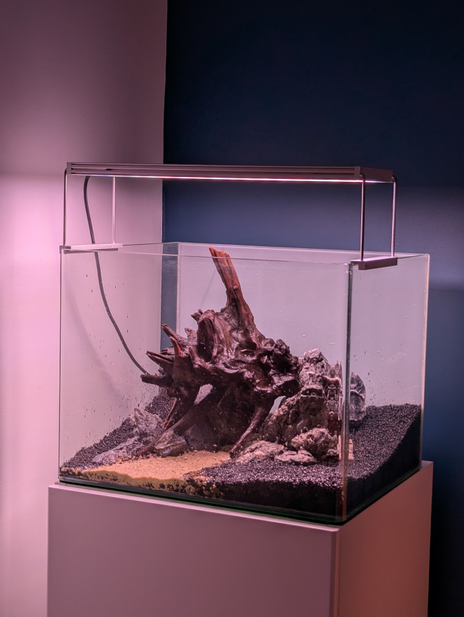 Hardscape Mise en place du hardscape , sol technique et décors .
Installation d'un fog screen en vue d'un rétro-éclairage.
Plantes à venir. ?