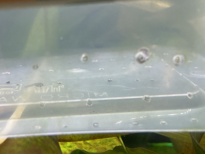 Photographie du post de Nahemafleur 