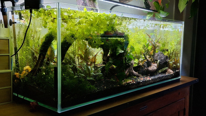 Photographie du post de ArtemusKlegg 