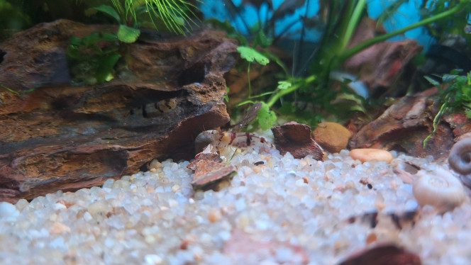 Photographie du post de ArtemusKlegg 