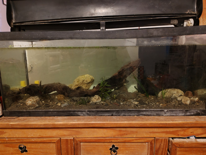 Le début Je suis partie de ça, pas facile d'avancer quand le premier magasin d'aquariophilie est a près de 2h de route ^^