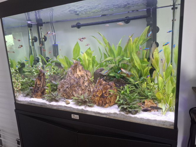 Photographie du post de Guiguidu57 