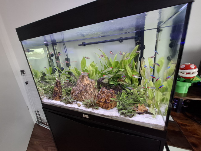 Photographie du post de Guiguidu57 