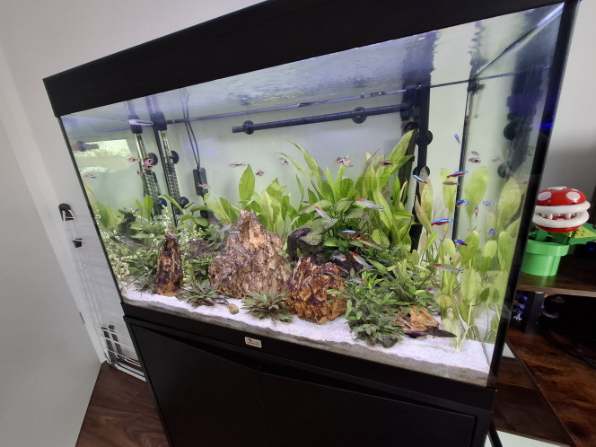 Photographie du post de Guiguidu57 