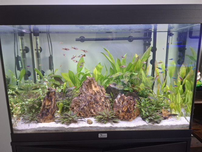 Photographie du post de Guiguidu57 