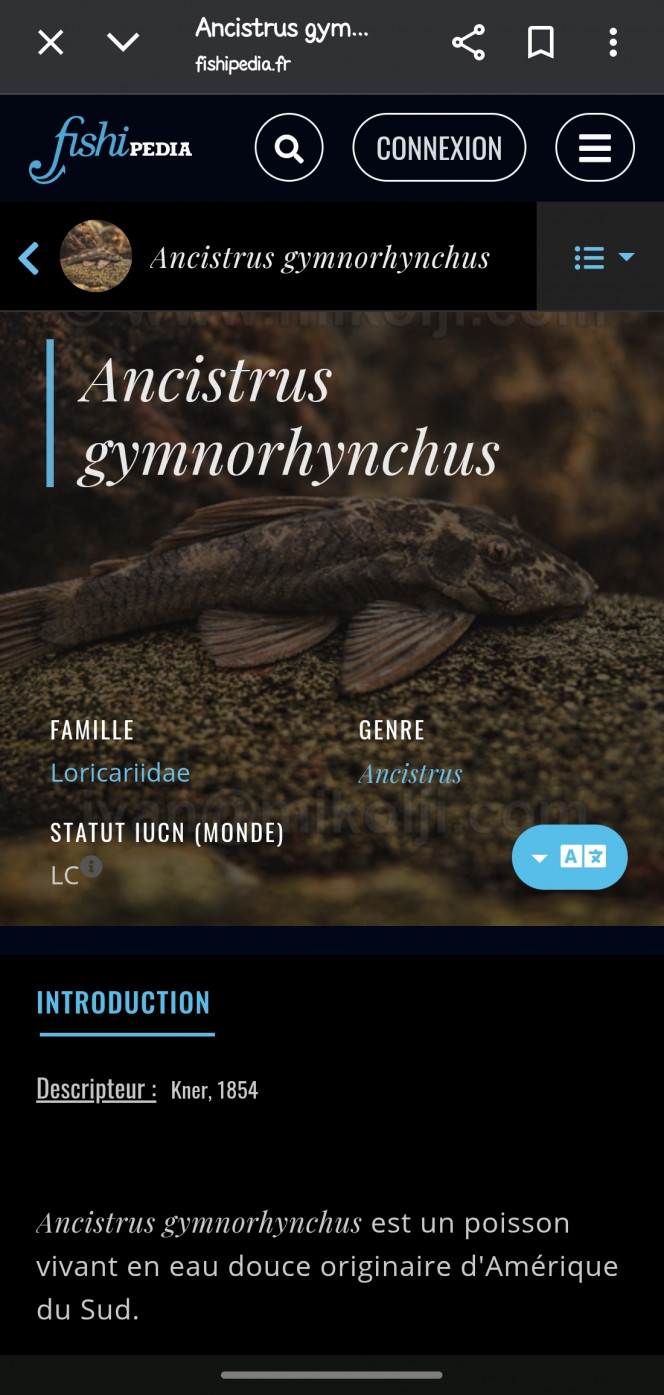 Photographie du post de Tiffanissart 