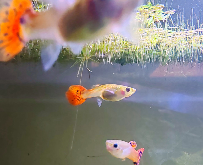 Photographie du post de Tiffanissart 