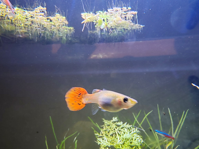 Photographie du post de Tiffanissart 