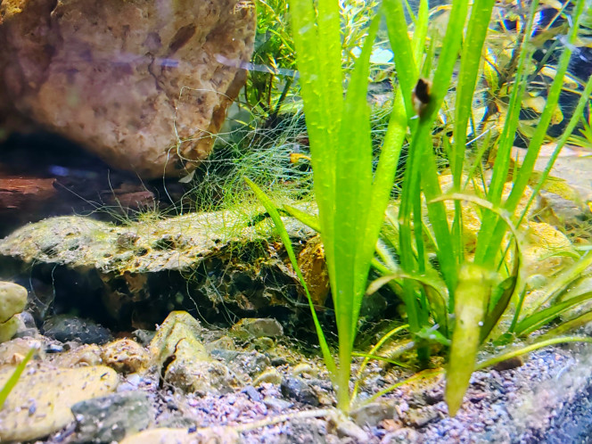 Photographie du post de Tiffanissart 