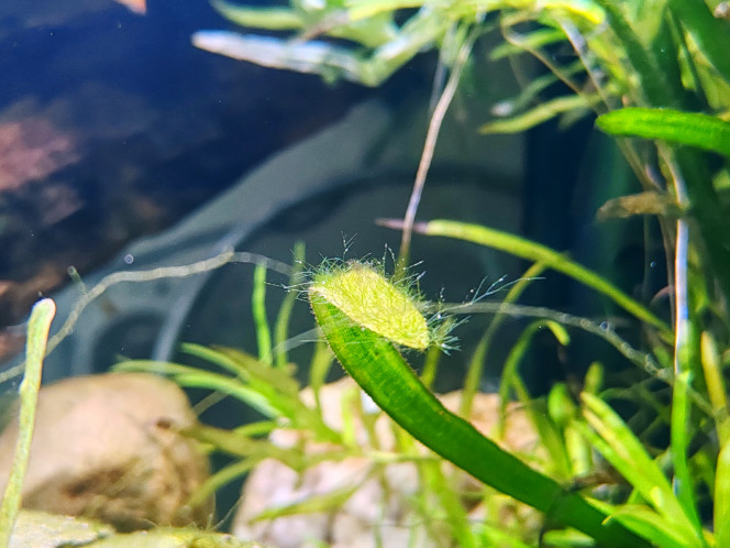 Photographie du post de Tiffanissart 