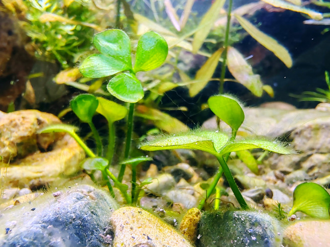 Photographie du post de Tiffanissart 