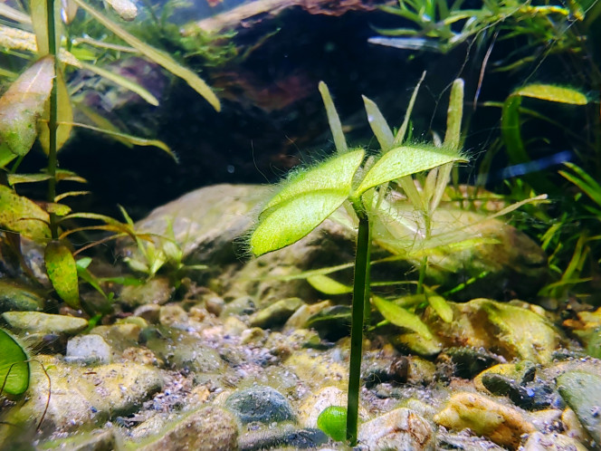 Photographie du post de Tiffanissart 