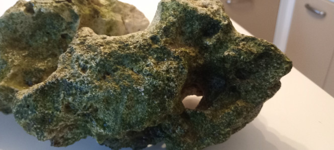 Photographie du post de mikey 