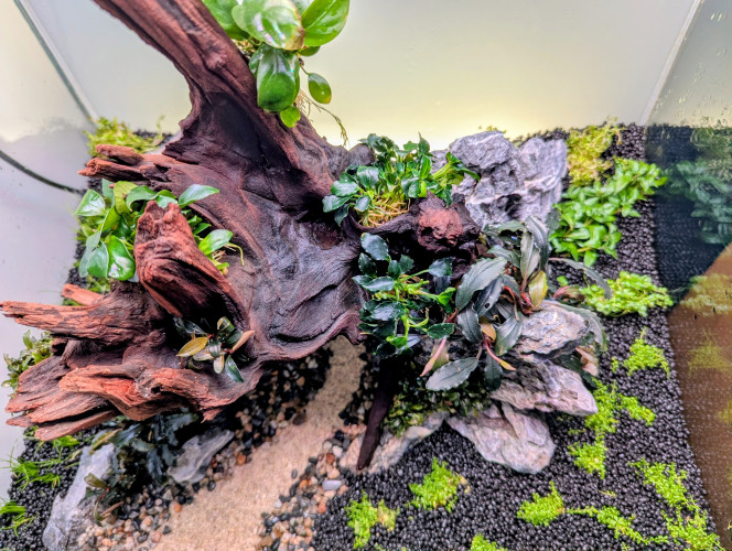 Rétro-éclairage Ajout d'un éclairage led en fond ☺️