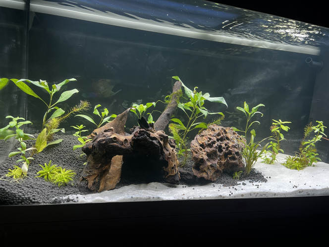 Photographie du post de Cile 