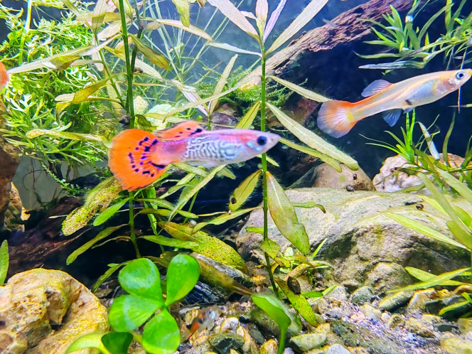 Photographie du post de Tiffanissart 