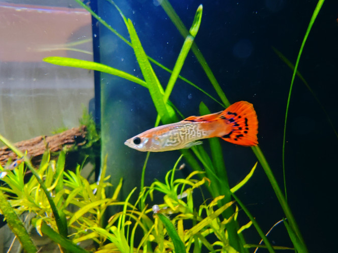 Photographie du post de Tiffanissart 