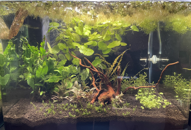 Prêt à accueillir des locataires (bientôt !) 