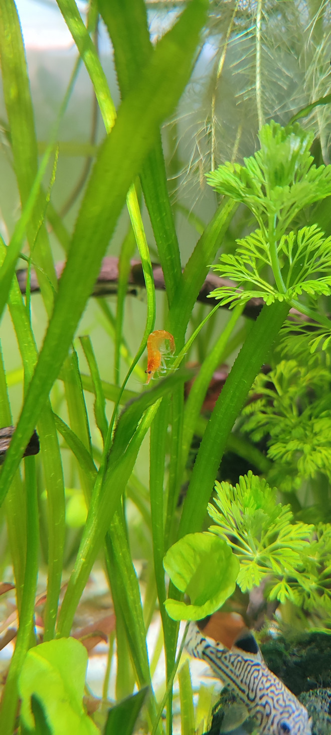 Photographie du post de PtiteNoli 