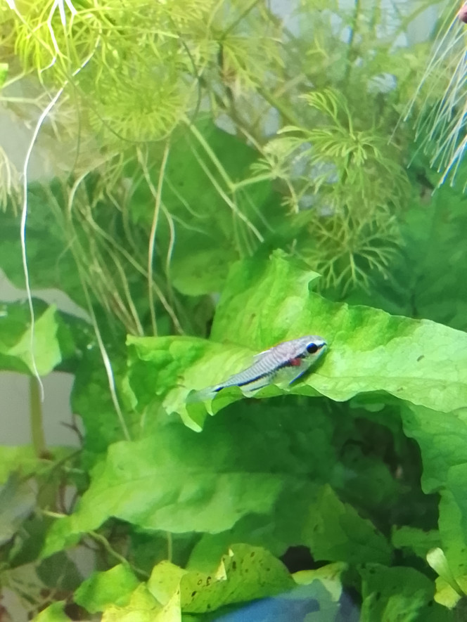 Photographie du post de mumu18 