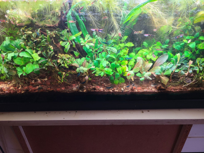 Photographie du post de laurent-galichet 