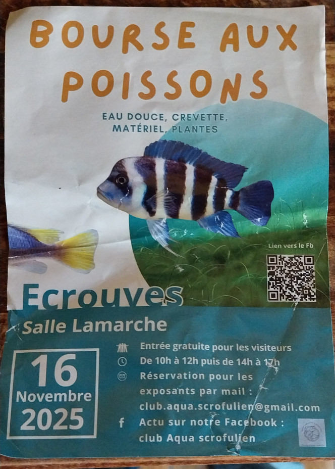 Photographie du post de STK54 